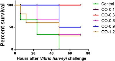 Effect of dietary oregano oil on growth performance, disease resistance, intestinal morphology, immunity, and microbiota of hybrid grouper (Epinephelus fuscoguttatus ♀ × Epinephelus lanceolatus ♂)